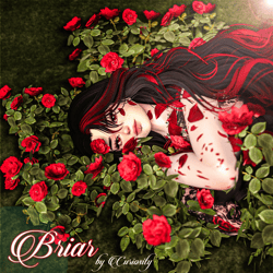 Briar Rose PC/SPS