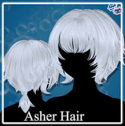 Asher Hair