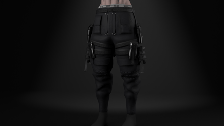 Combat Pants