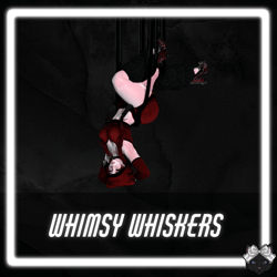Whimsy Whiskers