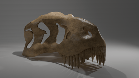 T-Rex Skull