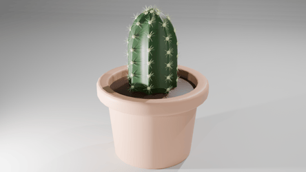 Cactus in a pot
