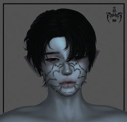 014 - "Cyber" faceguard