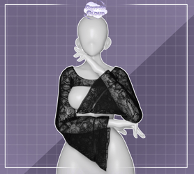 Harper's Sheer Lace Mini Top [SERVER FREEBIE]