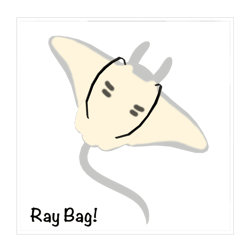 ୨୧ ꒰ Ray Bag! ꒱ ୨୧
