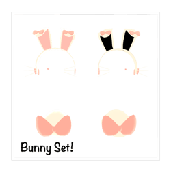 ୨୧ ꒰ Bunny Set! ꒱ ୨୧