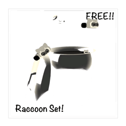 ୨୧ ꒰ Raccoon Set! ꒱ ୨୧