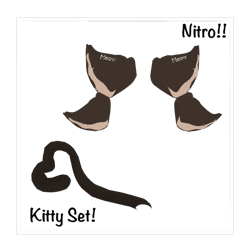 ୨୧ ꒰ Kitty Set! [Nitro] ꒱ ୨୧