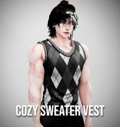 Cozy Sweater Vest