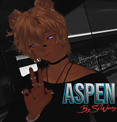 Aspen 2.0 (PC/Opti)