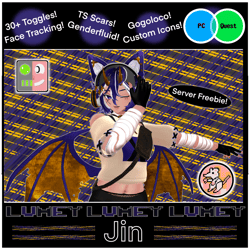 Jin (Genderfluid) [PC & QUEST] [VRCFT] Server Free