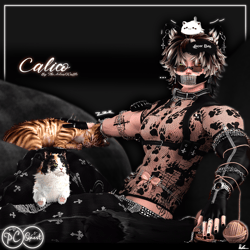 Calico (PC/QUEST/OPTI)