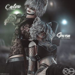 Calico & Gwen (PC/QUEST/OPTI)