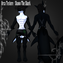 Orca Texture - Shawn the Shark