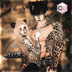 ♡ LEVI ♡ ᴘᴄ／Ｑ ♡ SERVER FREE