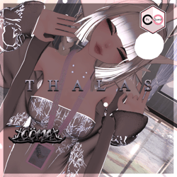 ♡ T H A L A S ♡ ᴘᴄ／Ｑ ♡ FREE