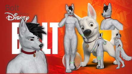 Bolt W/ COLLAR