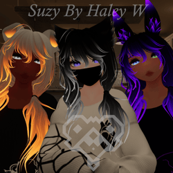 Suzy (PC-Q + Optimized)