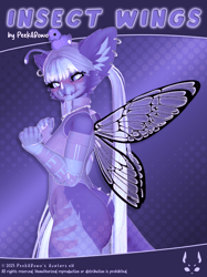 Insect Wings