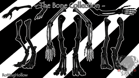The Halloween Bone Collection