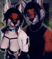 -! Foxes (Aurora + Dante) !-