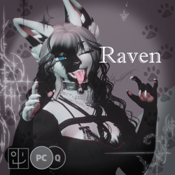 Raven - PC, GoGo, SPS