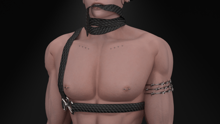 Belt Harness