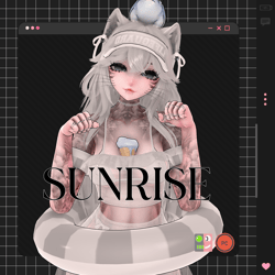 SUNRISE ⇨ VRCFT ⇦