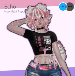 Echo - PC Only