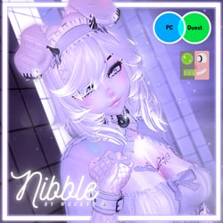 Nibble PC & Quest VRCFT