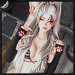 Paw Warmers - SERVER FREE