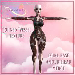 RUINED VESSEL TEXTURE [EGIRL & AMOUR HEAD]