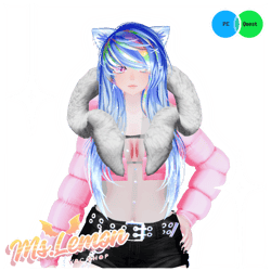 North || PC || VRCFT || GogoLoco