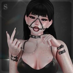 Good Dog Accessories