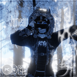 Juneau - PC, SPS, GoGo, VRCFT