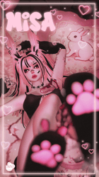 MISA [ FT, PC, GOGO ]