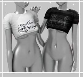 ₊˚Mini Shirt - ZinFit, E-girl, Anime Bases, Vrchat assets ˚₊