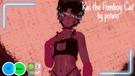 Kai The Femboy Cat ( Nitro Free, Sfw, Pc&Quest;, FT )