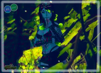 Kimi The Poison Dart Frog