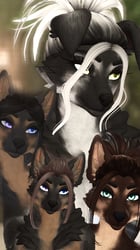 Shepard Textures For ROXY