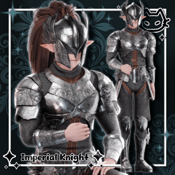 🗡️ Imperial Knight 🗡️ Unisex Armor Set 🗡️ Breastplate, Chainmail 🗡️ GM's Fem Base, VRBase Eboy, VRBase Egirl, Akii V2