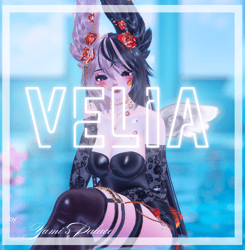Velia『PC, FT, GOGO, SPS』