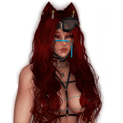 ♡ H I I R A 。(PC+QUEST+GOGO+SPS)