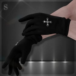 CH Gloves