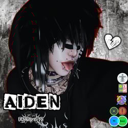 AIDEN V2 (PC, QUEST, SPS, FT, OPTI)