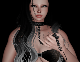 Collar W Leash