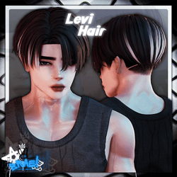 Levi Hair