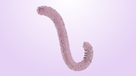 TAIL | FREE |