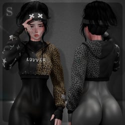 Flux Fit