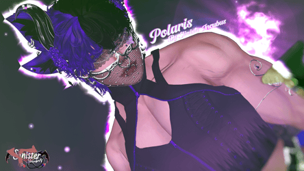 POLARIS || FT || PC & OPTI || GOGO (PREORDERS)